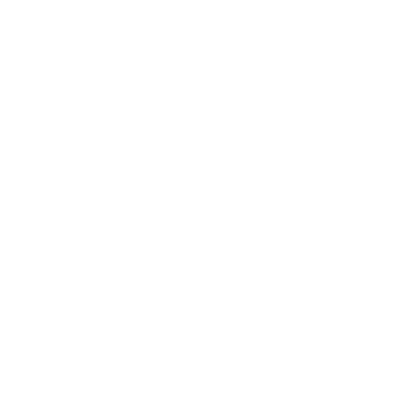 Logo RaidersZone